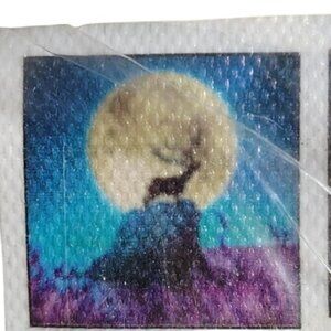 Full Drill Moon and Scenic Diamond Painting DIY Craft Kit